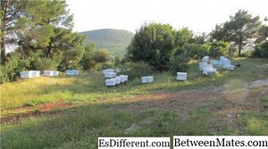 CSMA CA y CSMA CD - PROTOCOLOS Y FORMATOS 2026