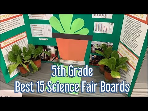 1st Place Best Chosen Science Fair Projects for 5th Grade - STEM Activities