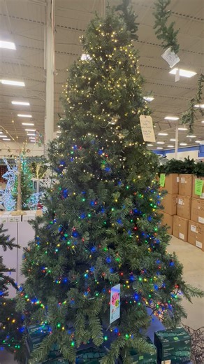 Compact LED twinkle lights from Lumineo are available, featuring strands of 500 or 1000 lights in multicolor or warm white. | Carolina Pottery