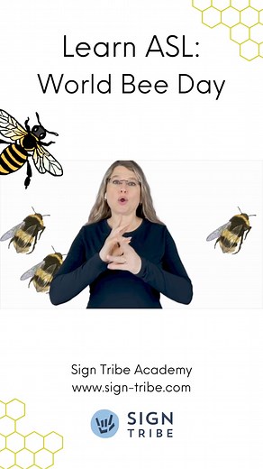 5K views · 137 reactions |  Feel the Buzz and Celebrate World Bee...