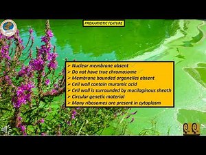 CYANOBACTERIA | CH # 06 | Lecture 04 | FBISE | TIBS | federal board