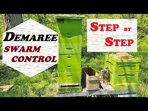 🔶 Demaree Swarm Control Step by Step