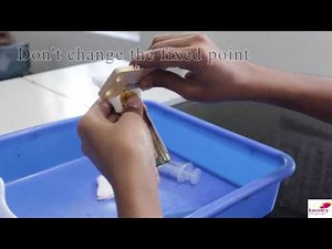 Ampoule Cutting Procedure