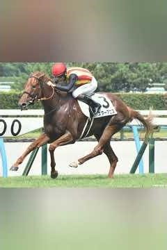 【阪神ＪＦ・超ブル診断】混戦では馬体重が重要なファクター キャリア＆前走条件も加えると浮かび上がるのはスターアニス