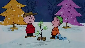 1M views · 57K reactions | Finding the perfect tree  | Snoopy | Facebook