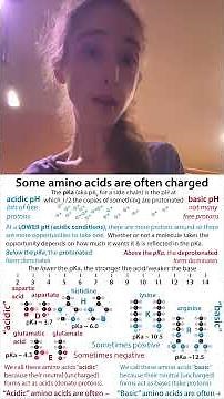 Aspartate/Aspartic acid and "acidic" vs "basic" amino acids: #20daysofaminoacids 2025 Day 16