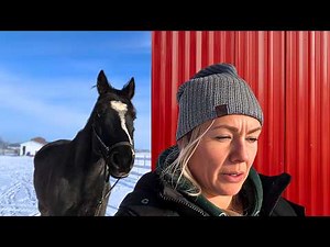 Rearing, Kicking | Not What I Was Hoping For In a New Horse!