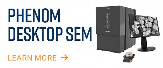 Scanning Electron Microscopy | Nanoscience Instruments