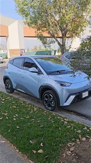 🐬⚡ The channel's new car has arrived! BYD Dolphin Mini 2026