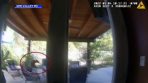 Bear breaks into home, has a full meal