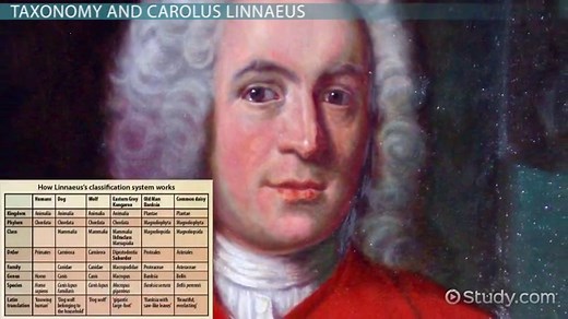 Organism | Definition, Characteristics & Examples