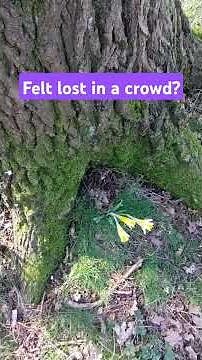 Stories of Inclusion: How embracing diversity makes the world better