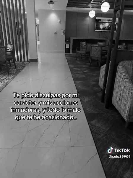 Apologies and Language Learning Insights