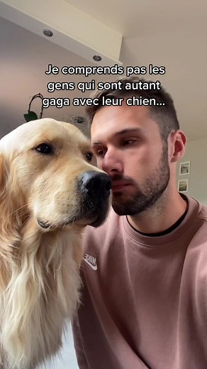 Pumbathelion sur TikTok