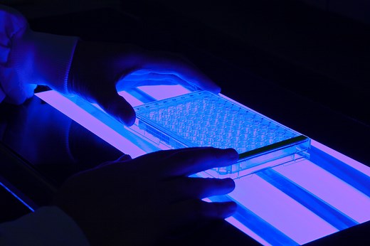 Medical Sciences Lecture Series