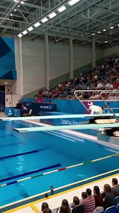 What if cats were olympic divers? | Robbo Fox