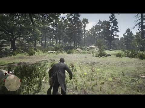 WHEN TO GO TO NEW AUSTIN AND THE SNIPER DISABLED AND HOW TO DO IT. SEE DESCRIPTION.