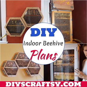 10 DIY Beehive Plans For Indoor Decorations