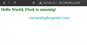 Install Flask with Gunicorn and Nginx on Rocky Linux 9 | ComputingForGeeks