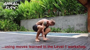 Take Animal Flow with You. Mike Fitch is here with 26 movements and 20 perfect flows to keep you practicing on the go! | Animal Flow