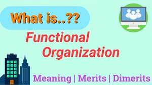 11 Advantages and Disadvantages of Functional Organizational Structure
