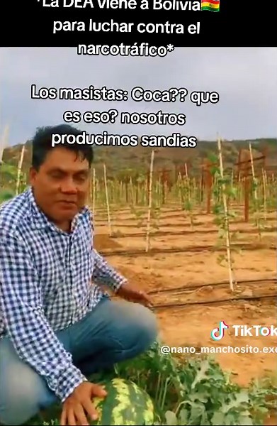 Videos de manchoso.exe (@nano_manchosito.exe) con “Cotton Eye Joe - Rednex”