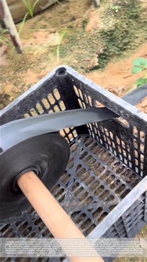 Tips for automatic unfolding of drip irrigation tape without knotting