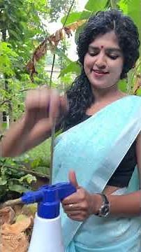 DIY Mushroom Farming at Home Grow Your Own Food with Zero Chemicals