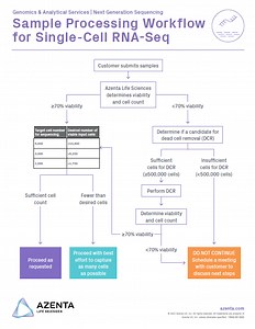 Single-Cell RNA Sequencing Frequently Asked Questions | GENEWIZ