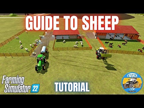 GUIDE TO SHEEP - Farming Simulator 22