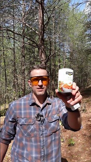 22LR CCI Stinger for Self Defense?