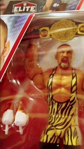 New Edition To The WWE Action Figure Collection #wwe #wweraw #wwesmackdown