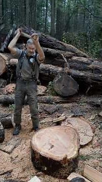#logger #axes #splittingaxe #chainsaws #timberfaller #bbr #splittingwood #woodsplitting #husqvarna