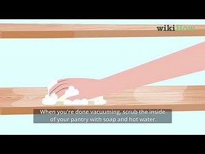 How to Get Rid of Pantry Moths