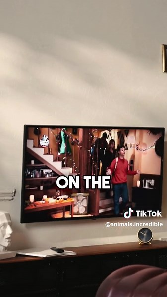 How Dogs See TV: Understanding Their Perspective on Screens