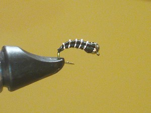 Fly Fishing: How to Tie a Zebra Midge
