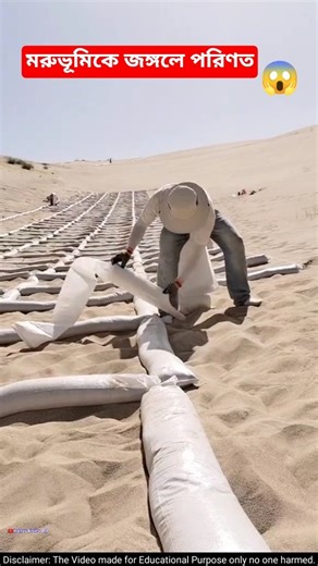 China’s Genius Plan to Turn Desert into Forest!