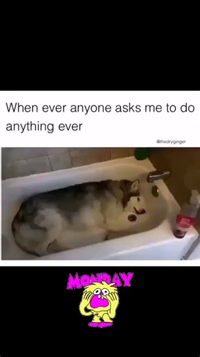 14K views · 37 reactions | Another 5 day week. | Teacher Misery | Facebook