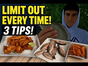 LIMIT OUT on Mangrove Snapper EVERY Time! (3 Secret Tips That Actually Work