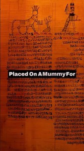 This Rare Egyptian Papyrus Changed How Mummies Were Protected