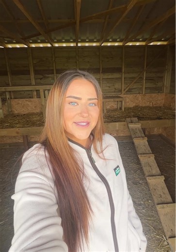 Meet My Adorable Pygmy Goats and Their Unique Names