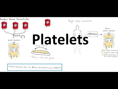 Platelets Administration in Transfusion Therapy part of IV therapy