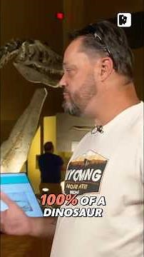 The Giant Allosaur Discovery: Unveiling a Unique Sub-Adult Dinosaur