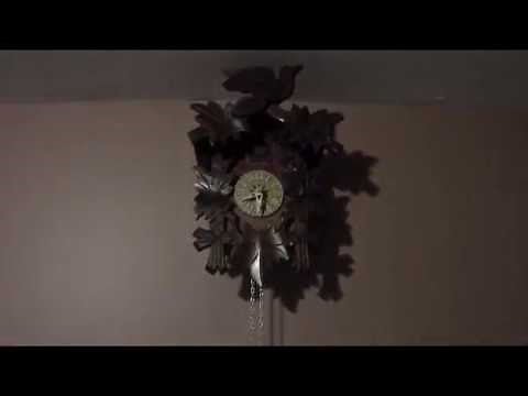 Cuckoo clock setup guide
