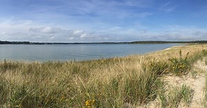 Experimental Solutions to Reduce Nitrogen Pollution on Cape Cod