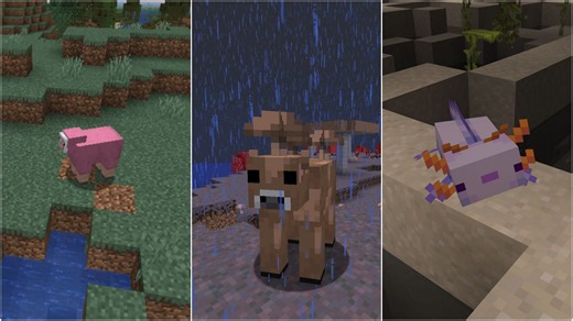 5 rarest mob variants in Minecraft