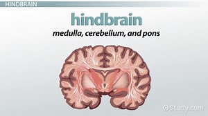 You must c C reate an account to continue watching