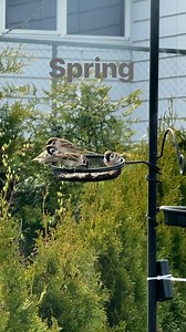 Spring in Norway #norway #spring #norge #naturephotography | Norway: Blessed with Nature