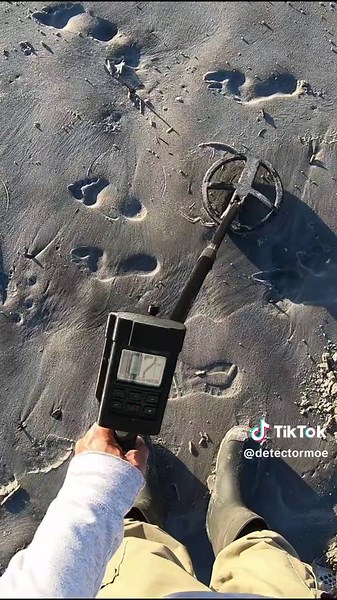 detectormoe on TikTok