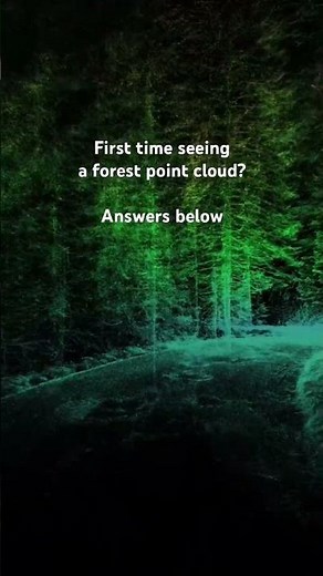 Ever seen a forest point cloud?
